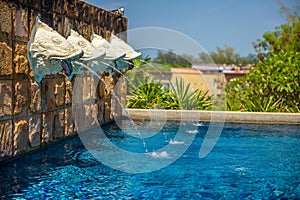 Fish head statues serving as fountains at a swimming pool in Thailand