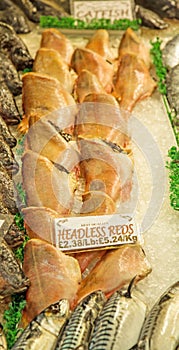 fish heads on display at the fishmongers