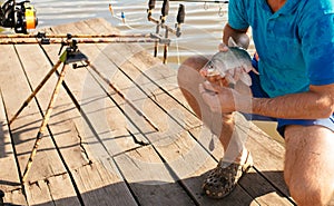 Fish hooked on mouth in male hands, bait fishing