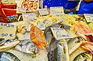 The fish on ice in Abastos market, Jerez, Spain