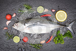 Fish on ice for cooking food in the restaurant, Fresh fish raw torpedo scad with lemon herb and spices, mackerel scad top view