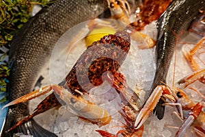 Fish on ice in a restaurant display