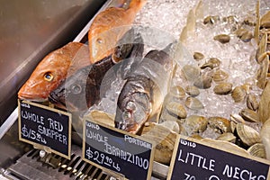 Fish on Ice for Sale at a Gourmet Market