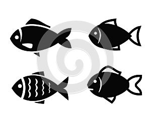 Fish icon photo