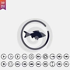 fish icon, vector illustration. flat icon. arrow