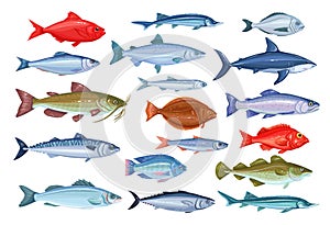 Fish icons, seafood