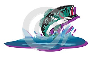 fish illustration