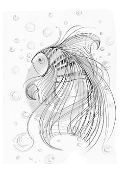 Fish imagination Applied art design