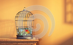 Fish inside a birdcage. Mindset change and escape concept