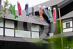 Fish Japanese kite