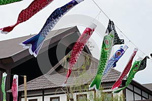 Fish Japanese kite