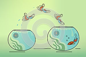 Fish jump, imaginary freedom, aquarium, psychology