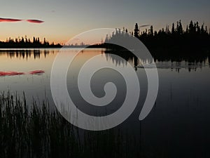 Fish jumping on calm lake in early morning