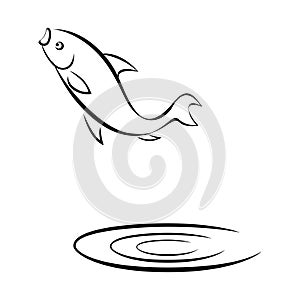 Fish Jumping out of the water