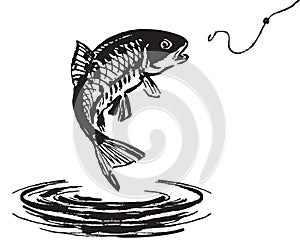 Fish jumping out of the water