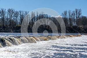 Fish jumping up in waterfall and going upstream for spawning