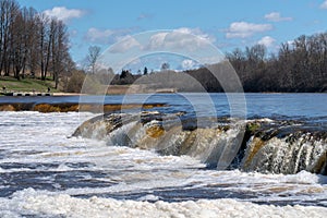 Fish jumping up in waterfall and going upstream for spawning