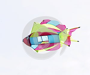 Fish kite closeup