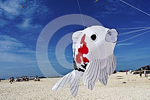 Fish kite taking off for blue skies at the beach.