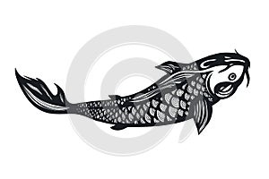 Fish Koi Carp. Chinese symbol of good luck, courage, persistence, perseverance, wisdom and vitality.