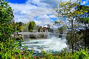 Ballard Locks Through Trees