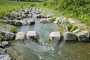 Fish ladder for migration of spawning fish in river stream