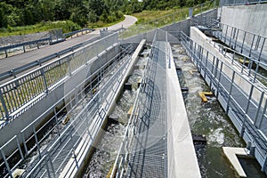 Fish ladder for migration and spawning at river