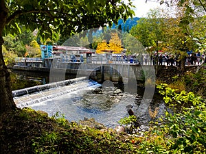 Fish ladder Washington Salmon Run