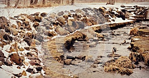 Fish Ladder in Winter