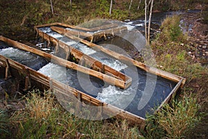 Fish ladders on small river