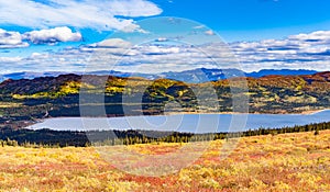 Fish Lake fall color taiga landscape Yukon Canada