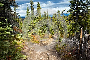 Fish Lake Trail Hike, Whitehorse, Yukon Fall Scenery