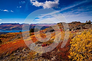 Fish Lake, Yukon Territory, Canada photo