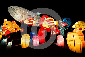 Fish Lantern Show