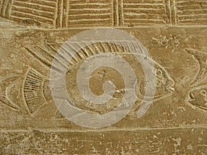 Fish with a large fin, detail from the reliefs in the Ancient Egypt Tomb of Princess Idut photo