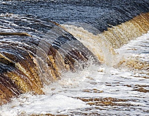 Fish leaping on the river Tyne at Hexham, Northumberland, UK