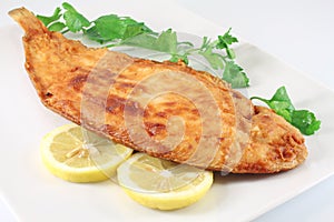 Fish lemon sole