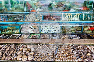 Seafood Market Fish Tanks in Sai Kung, Hong Kong photo