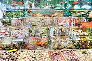 Live Seafood Market in Sai Kung, Hong Kong photo