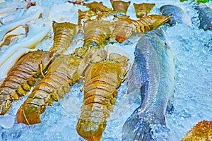 Fish and lobsters on ice, Patong, Phuket, Thailand