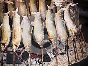 Fish mackerel Shioyaki burned with salt sale