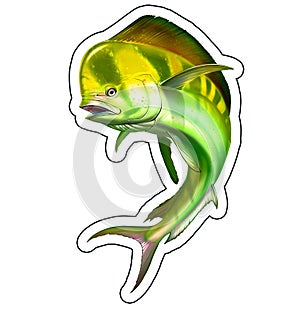 Fish Mahi mahi or dolphin green sticker blank illustration realism isolate.