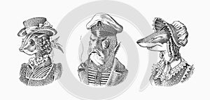 Fish man sailor with a pipe. Fish victorian lady. Woman in hat and suit. Mariner in a cap and vest. Fashion animal