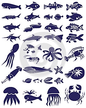 Fish and marine reptiles icons on white