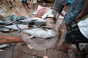 Fish market