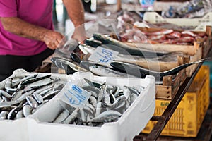 Fish market