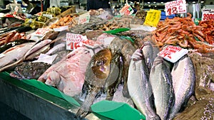 Fish market