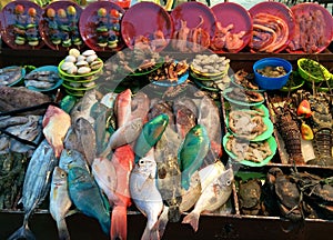 Fish market, Alona Beach, Panglao Philippines