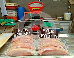 Fish Market photo