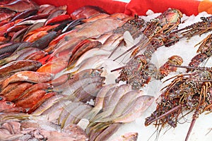 Fish market in the Caribbean